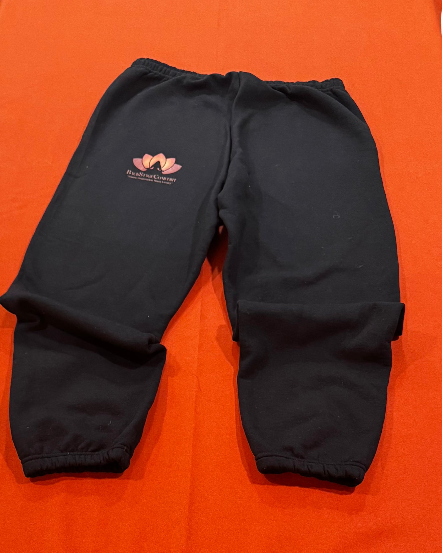 Back Stage Comfort Sweatpants